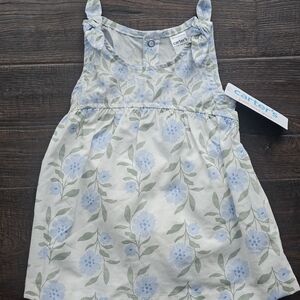Carter's Light Blue and Green Floral Dress